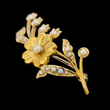 Load image into Gallery viewer, A yellow gold pearl set floral brooch, against a black background