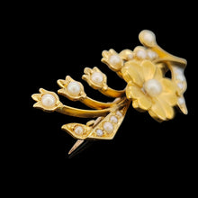 Load image into Gallery viewer, A yellow gold pearl set floral brooch, against a black background
