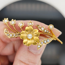Load image into Gallery viewer, A yellow gold pearl set floral brooch, held in a hand
