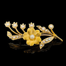 Load image into Gallery viewer, A yellow gold pearl set floral brooch, against a black background