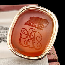 Load image into Gallery viewer, A carnelian intaglio fob seal stamp engraved with a bear and monogrammed PG initials, in an antique box