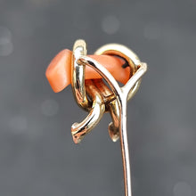 Load image into Gallery viewer, Victorian 15ct and 9ct Yellow Gold Coral Branch Tie/Stick Pin, Circa 1900