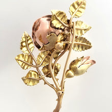 Load image into Gallery viewer, Vintage Carrington &amp; Co. 9ct Gold Rose Brooch in Fitted Box
