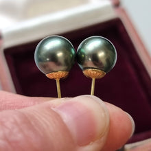 Load image into Gallery viewer, 18ct Gold Black South Sea Pearl Stud Earrings in hand
