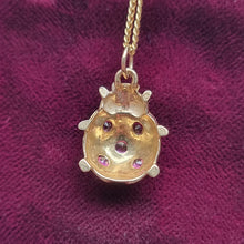 Load image into Gallery viewer, Vintage 9ct Gold Ruby Ladybird Necklace
