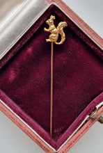 Load image into Gallery viewer, French Antique 15ct Gold Squirrel Tie/Stick Pin in box
