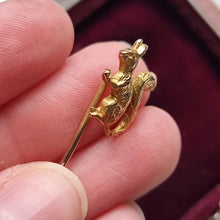Load image into Gallery viewer, French Antique 15ct Gold Squirrel Tie/Stick Pin in hand
