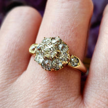 Load image into Gallery viewer, An old cut diamond cluster ring in yellow gold, modelled on a hand
