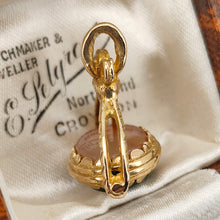 Load image into Gallery viewer, An oval spinner fob pendant in yellow gold with agate and bloodstone, in an antique box
