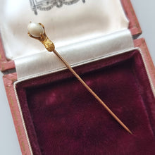 Load image into Gallery viewer, Antique 15ct &amp; 18ct Gold Bird&#39;s Egg Tie/Stick Pin in box
